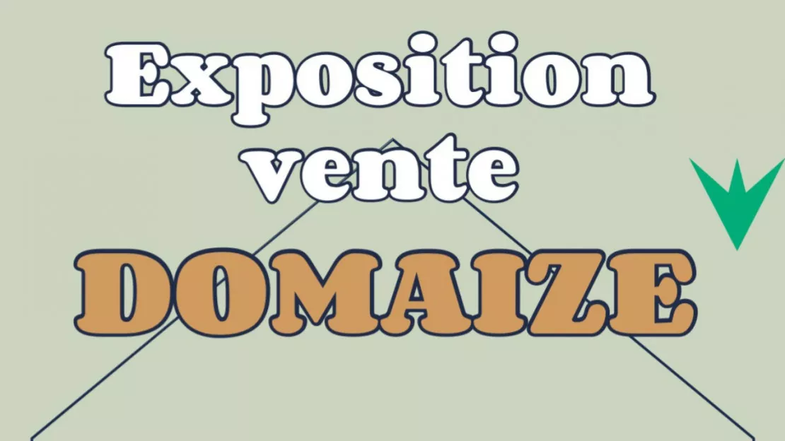 Expo vente - Domaize