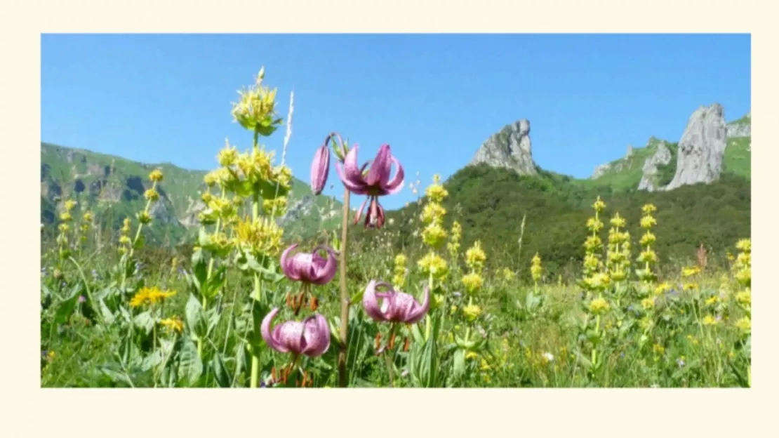 Conférence sur la découverte de la flore exceptionnelle de la vallée de Chaudefour