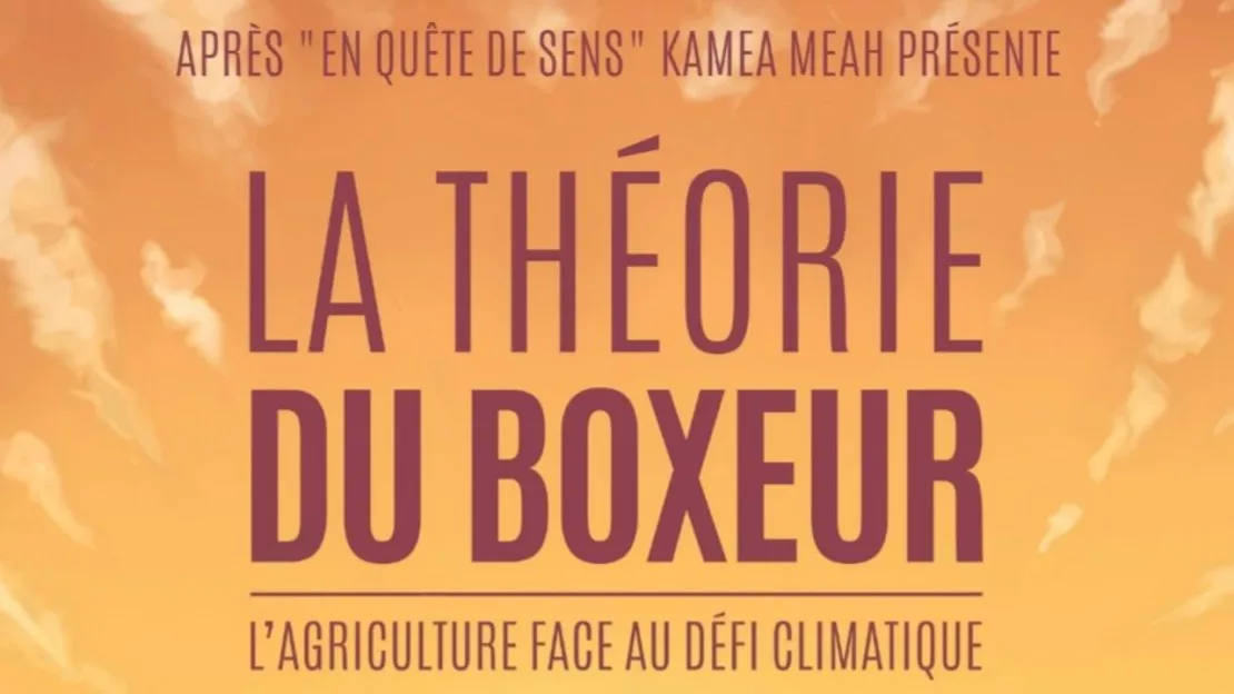 Ciné-débat La théorie du boxeur - St Pourçain sur Sioule