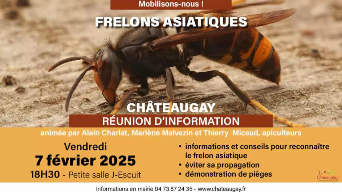 Mobilisons-nous contre les frelons asiatiques (réunion d'information)