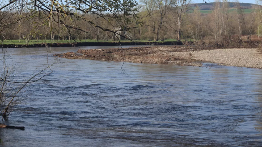 La rivière Allier est-elle en bonne santé ? L'Agence de l'Eau nous répond