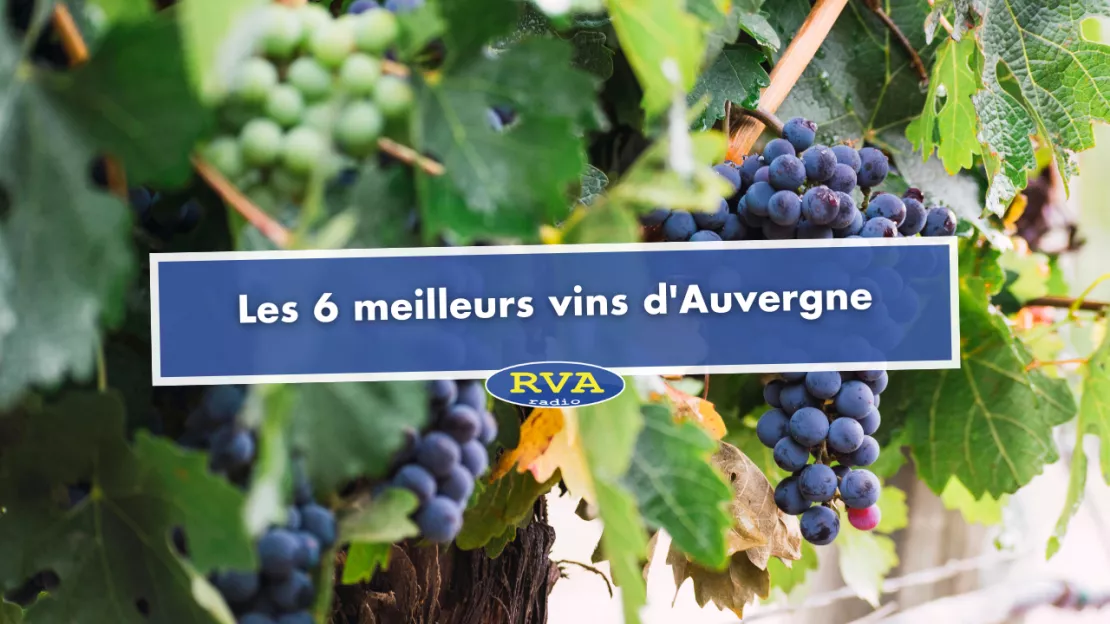 Les 6 meilleurs vins d'Auvergne