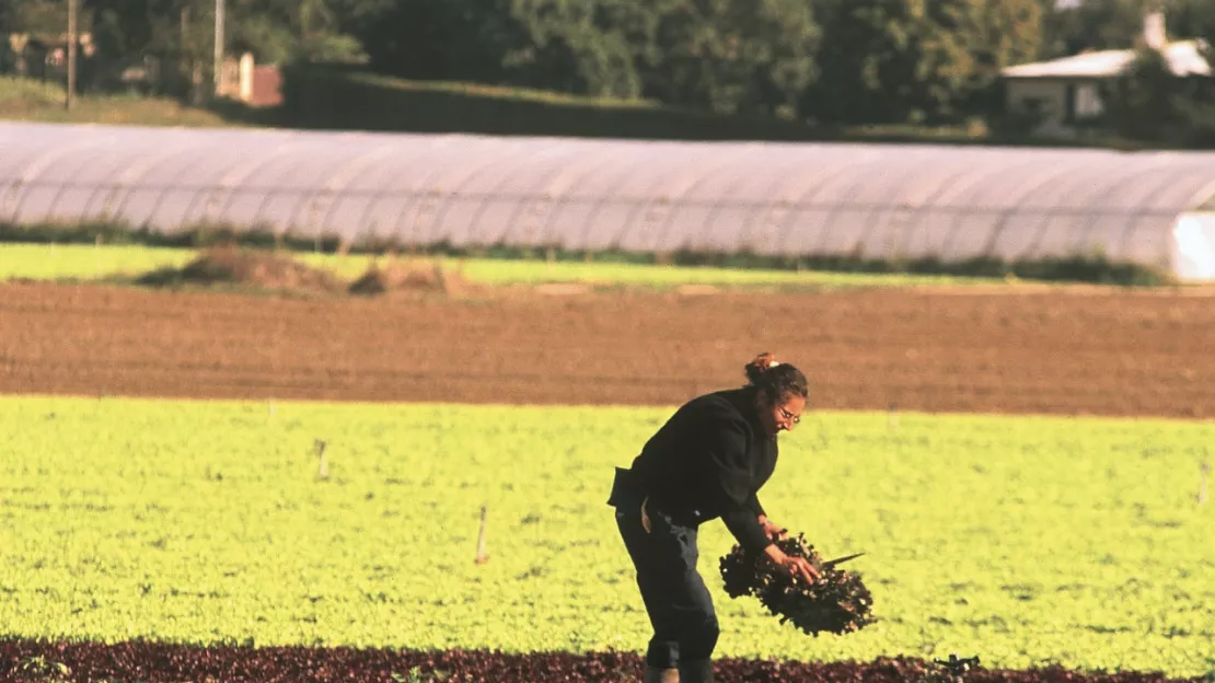 Puy-de-Dôme : ils tentent de voler des GPS à des agriculteurs, leurs victimes les rattrapent