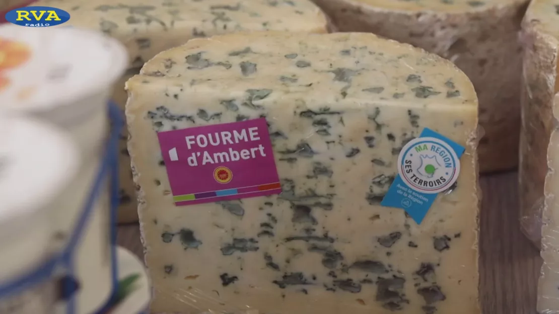 ESCAPADES EN AUVERGNE - La Fourme d'Ambert sur la route des fromages AOP d'Auvergne (Épisode 1)